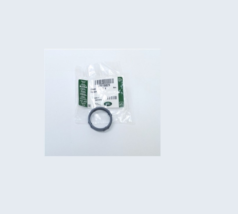 LR018829 Land Rover Guarnizione Termostato OEM dal 2013